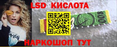 шишки Лесосибирск