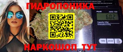 шишки Лесосибирск