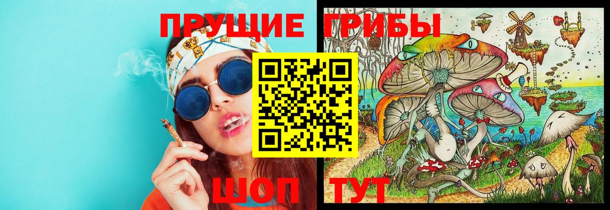 Псилоцибиновые грибы прущие грибы Ялта